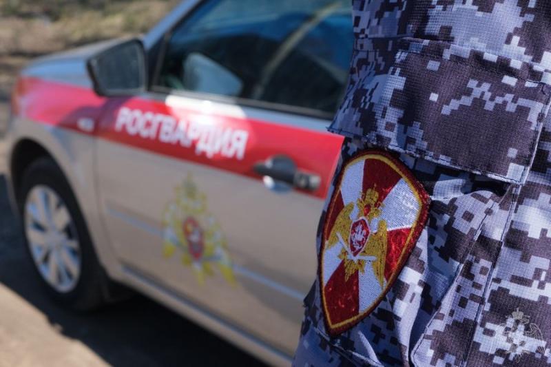 В Новосибирской области сотрудники вневедомственной охраны Росгвардии задержали нетрезвого водителя