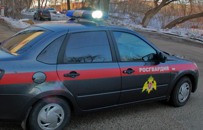 В Зубово-Полянском районе  Республики Мордовия росгвардейцы  задержании пьяного водителя