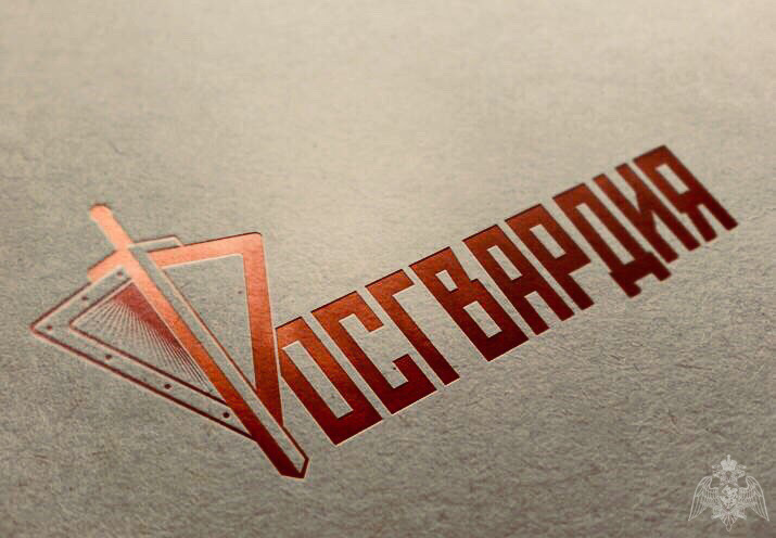 В Свердловской области при участии экипажа Росгвардии задержан  нетрезвый водитель