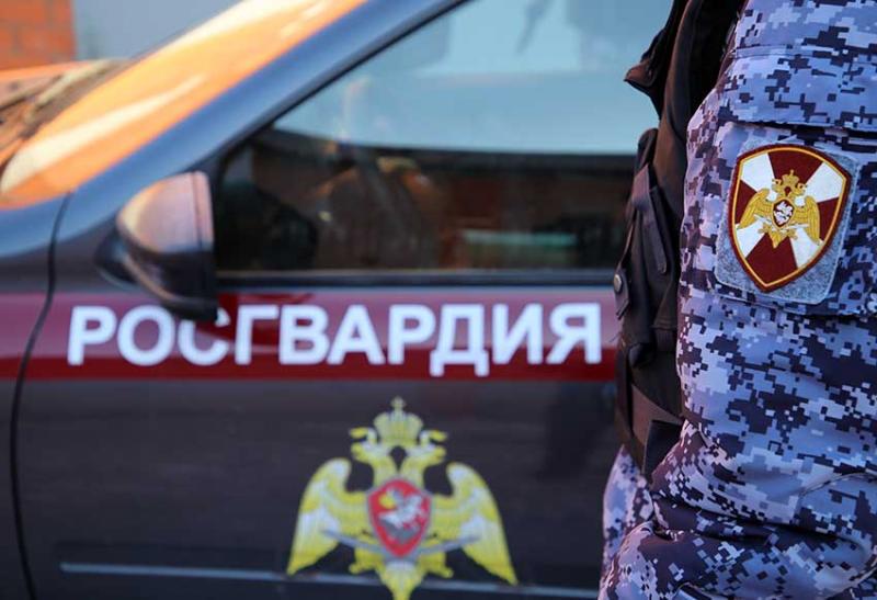 В Темниковском районе Республики Мордовия росгвардейцы задержании пьяного водителя
