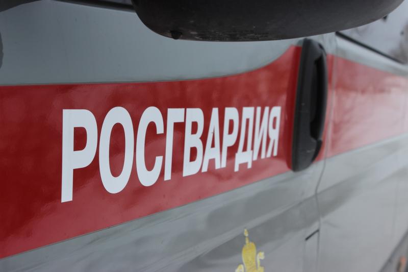 В Челябинске сотрудники вневедомственной охраны задержали подозреваемого в краже из гипермаркета