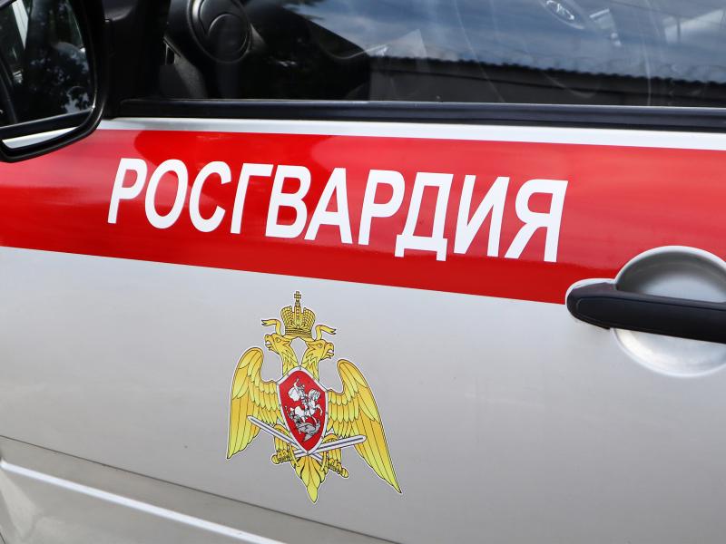 На Ставрополье сотрудники Росгвардии задержали нетрезвого водителя