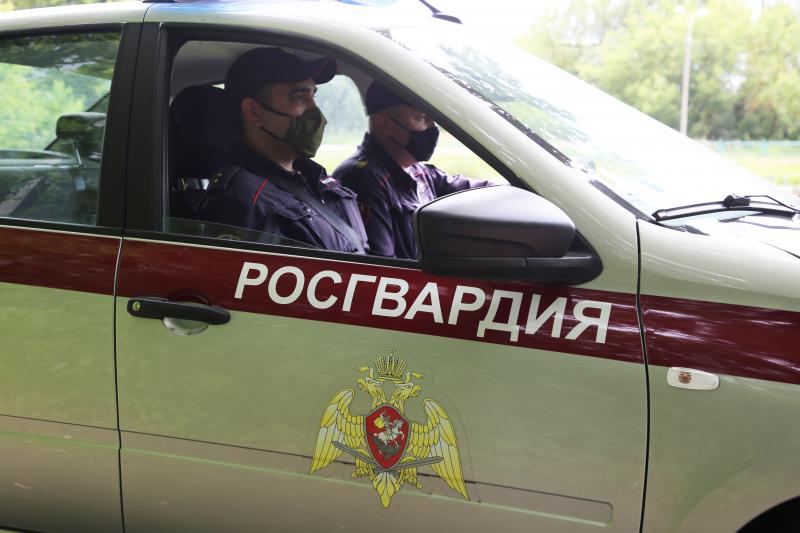В Ардатовском районе Республики Мордовия росгвардейцы совместно с сотрудниками ДПС задержали пьяного водителя
