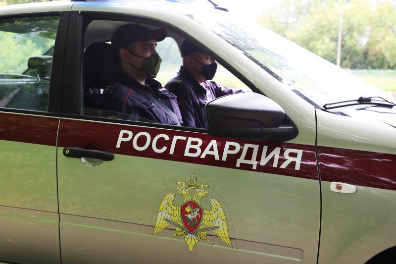 В Мордовии за сутки росгвардейцы выявили двух пьяных водителей