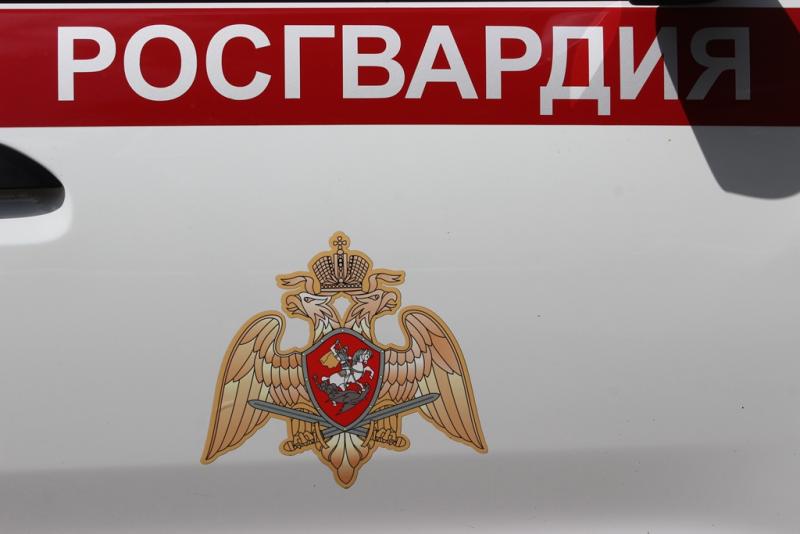 В Челябинске сотрудники Росгвардии задержали  подозреваемую в краже детских вещей