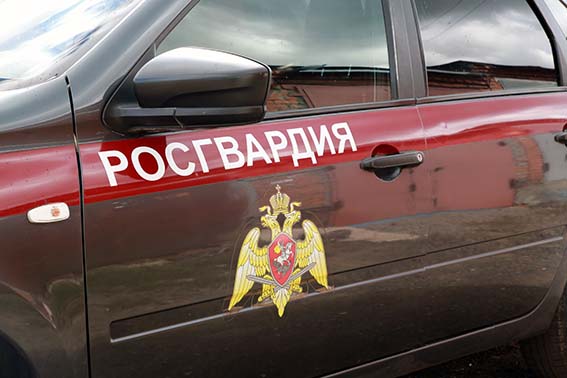 В Ардатовском районе Республики Мордовия росгвардейцы оказали содействие сотрудникам ДПС в задержании пьяного водителя