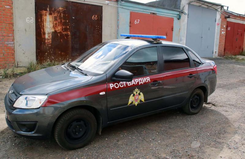 В Зубово-Полянском районе росгвардейцы задержали пьяного водителя