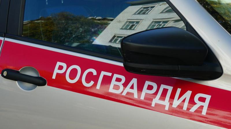 В Кирове росгвардейцы выявили гражданина, который подозревается в угоне и управлении транспортным средством в состоянии опьянения