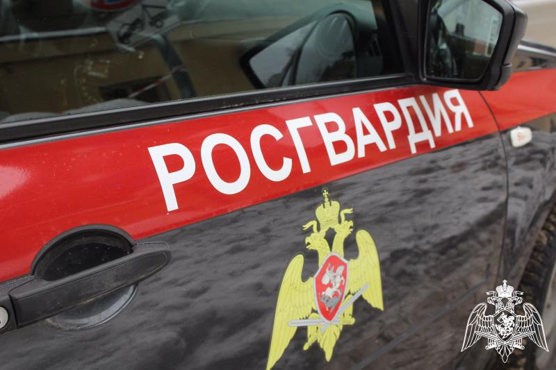 В Саратовской области сотрудники Росгвардии задержали нетрезвого водителя