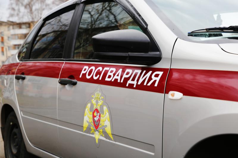 В Саранске росгвардейцы выявили и задержали пьяного водителя