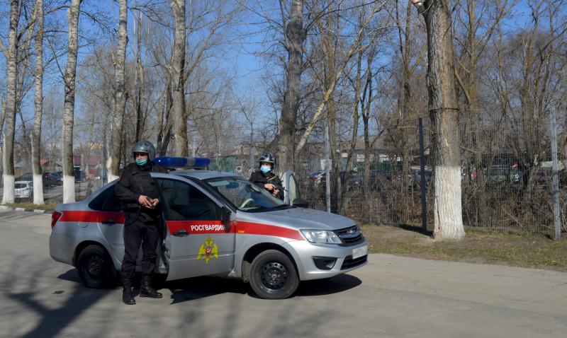 Ульяновские росгвардейцы задержали нетрезвого водителя с поддельными документами