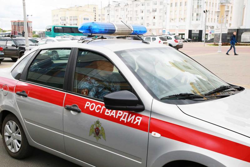 В Мордовии росгвардейцы оказали содействие сотрудникам ДПС в задержании пьяного водителя