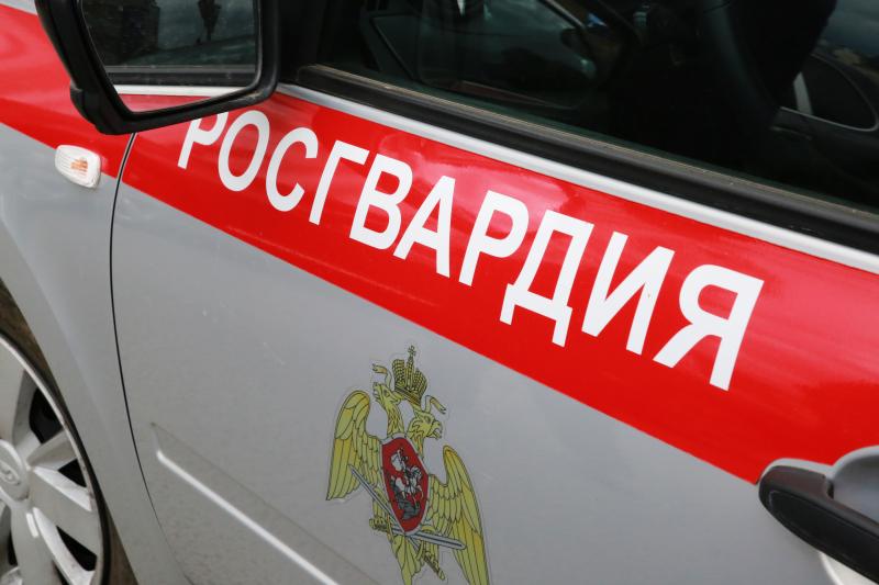 В Рузаевке росгвардейцы обнаружили угнанный автомобиль