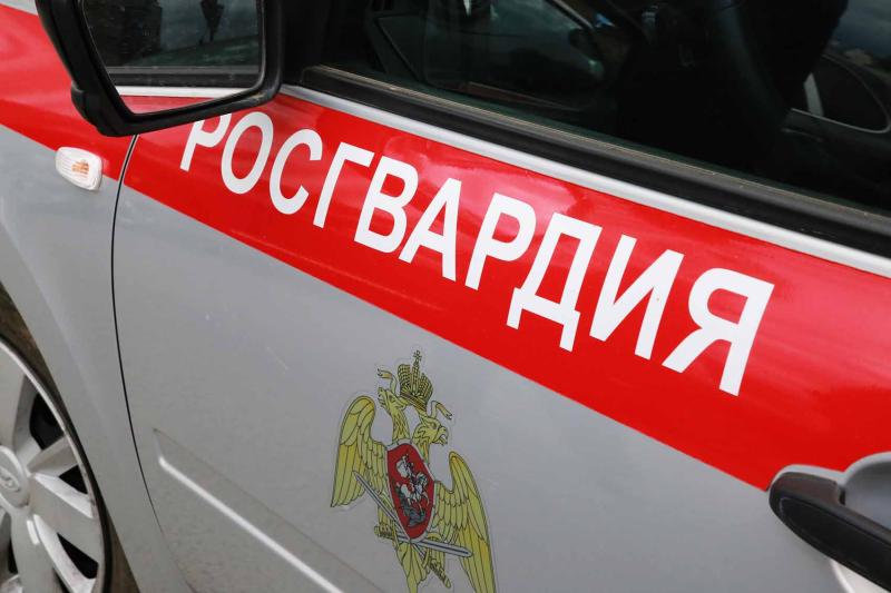 В Ромоданово росгвардейцы выявили и задержали пьяного водителя