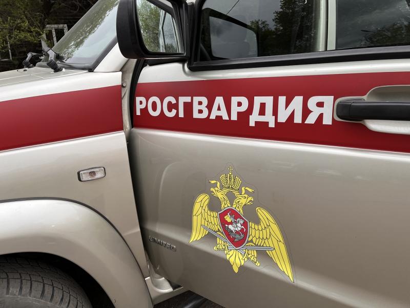 Росгвардейцы оказали содействие в задержании нетрезвых водителей в г. Кызыле
