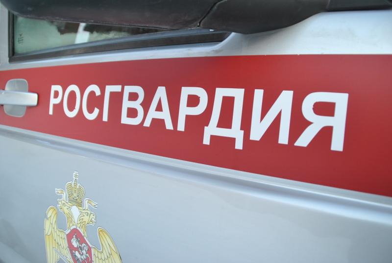 В Кирове росгвардейцы задержали гражданина, подозреваемого в краже дорожного знака