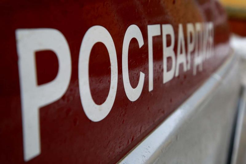 В Саранске росгвардейцы задержали мужчину по подозрению в повреждении иномарки