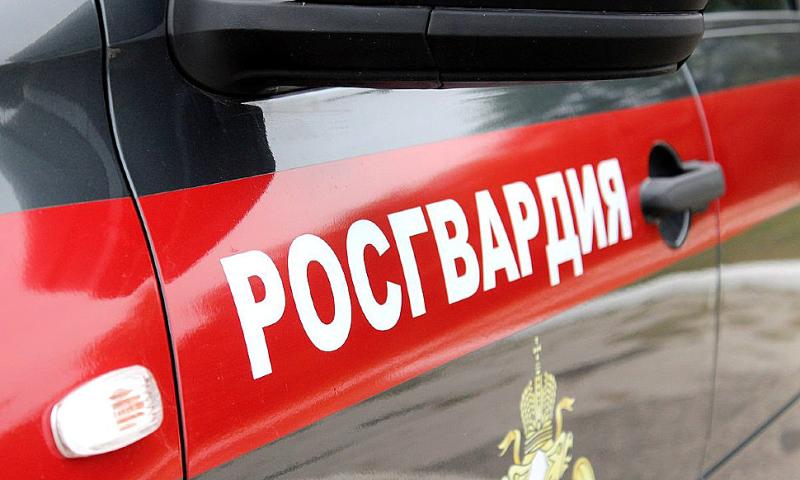 В Новосибирске сотрудники вневедомственной охраны задержали угонщиков, завладевших автомобилем у таксиста