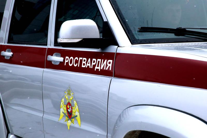 В Мордовии росгвардейцы задержали нетрезвого водителя врезавшегося в столб