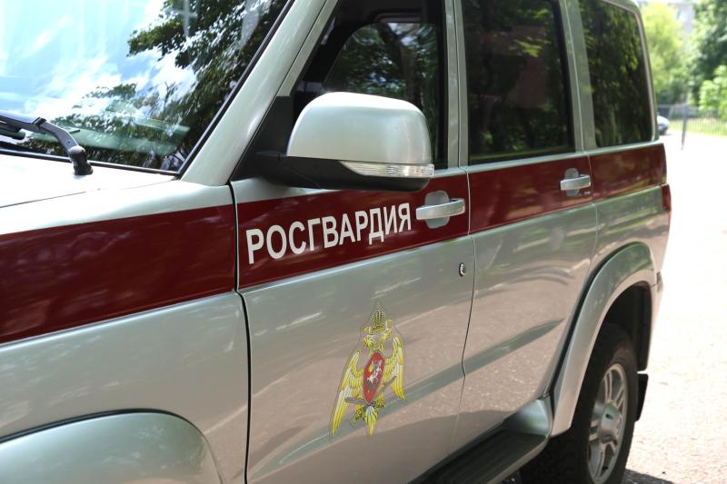 В Ардатовском районе росгвардейцы оказали содействие сотрудникам ДПС в задержании нетрезвого водителя