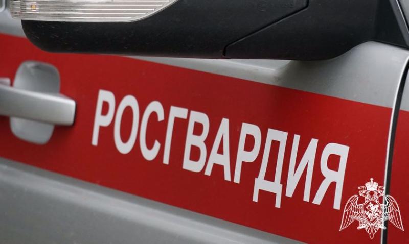 В Кирово-Чепецке росгвардейцы задержали подозреваемого в попытке угона автомобиля