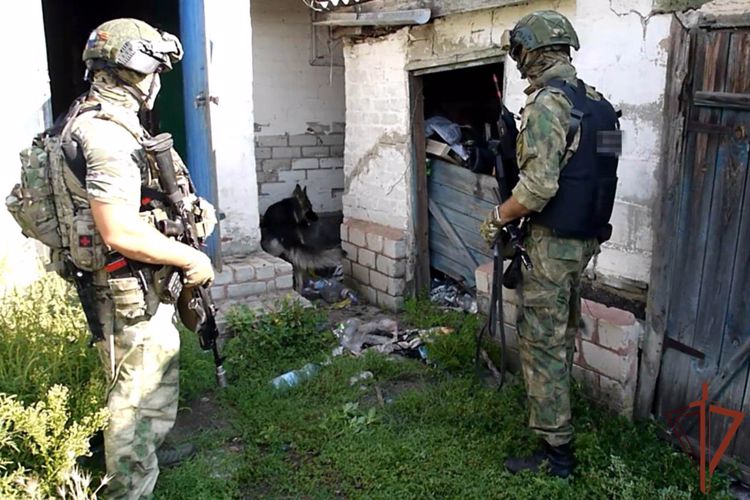 Оружие и боеприпасы изъяли из тайников и схронов росгвардейцы в ЛНР