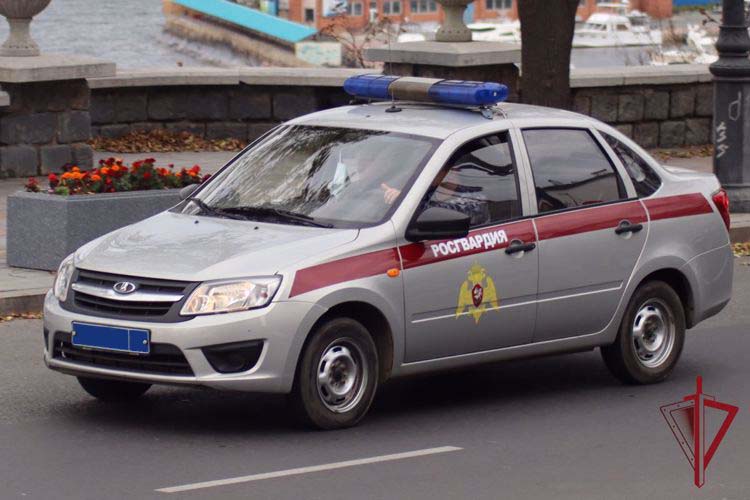 Росгвардейцы задержали орловца, укравшего сушилку для рук