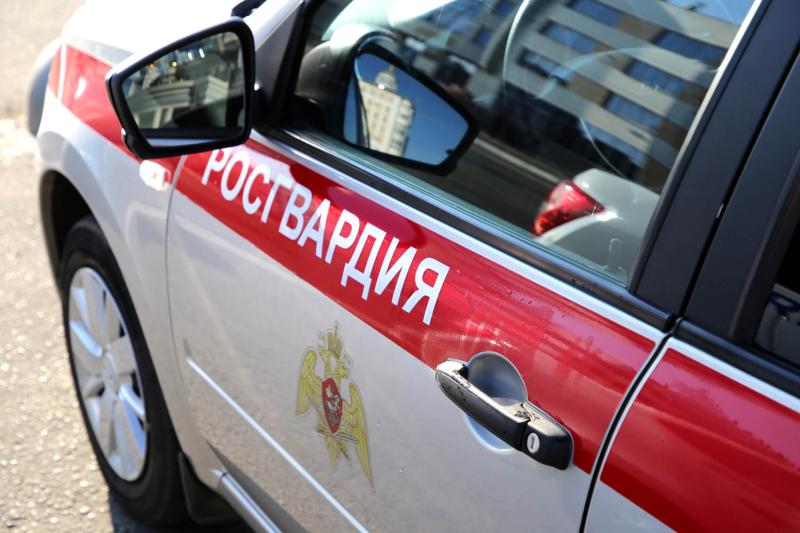 В Мордовии росгвардейцы выявили и задержали водителя, управлявшего мотоблоком в нетрезвом состоянии