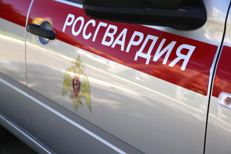 В Мордовии росгвардейцы оказали содействие сотрудникам ДПС в задержании нетрезвого водителя