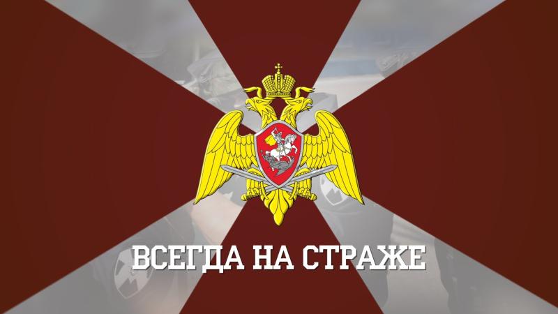 В Нижнем Новгороде росгвардеец оказал помощь попавшей в дорожно-транспортное происшествие женщине