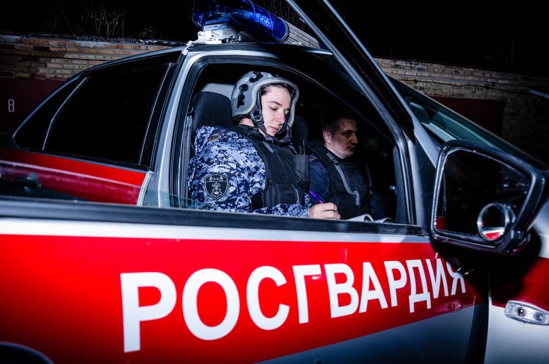 В Пензенской области сотрудники Росгвардии задержали нетрезвого водителя