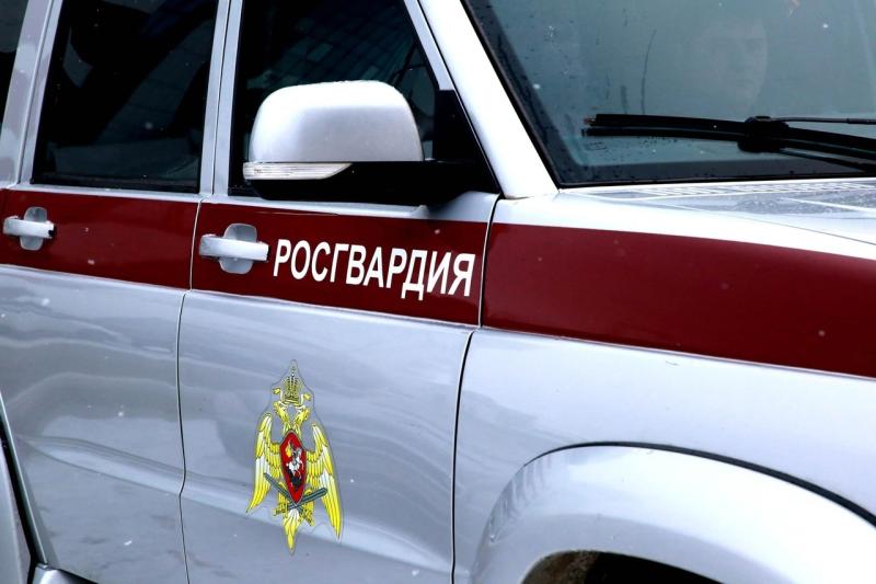 В Саранске росгвардейцы задержали мужчину, по подозрению в повреждении автомобиля