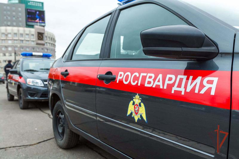 В столице Южного Урала росгвардейцы задержали мужчину, подозреваемого в краже из строительного гипермаркета