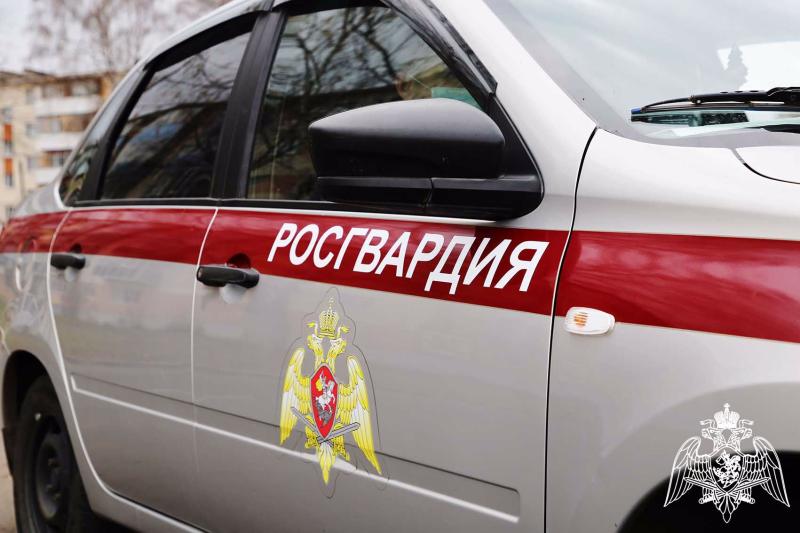 В Саранске росгвардейцы задержали местных жителей по подозрению в повреждении машины