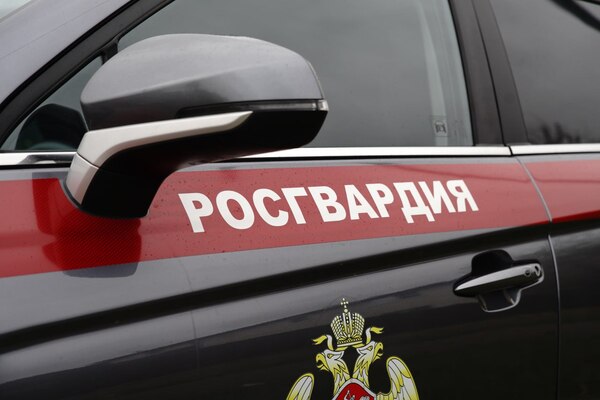 Московские росгвардейцы задержали нетрезвого водителя, совершившего ДТП