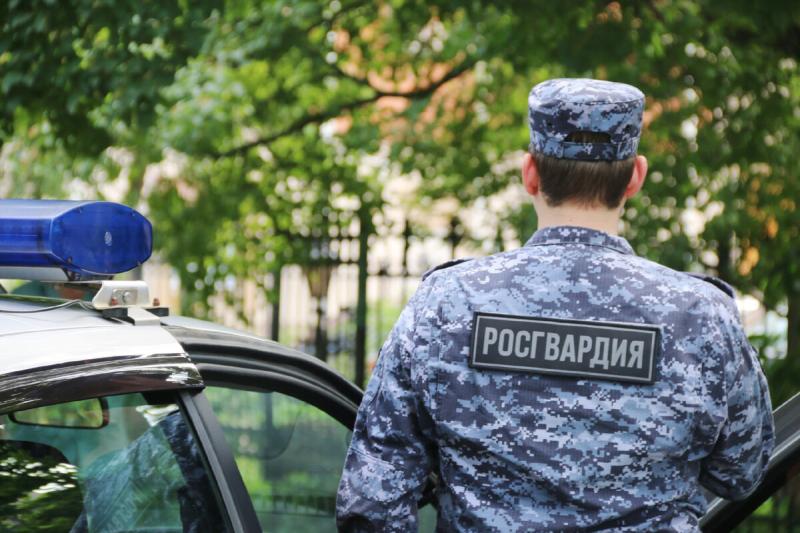 В Ардатове патруль Росгвардии  задержал нетрезвого водителя