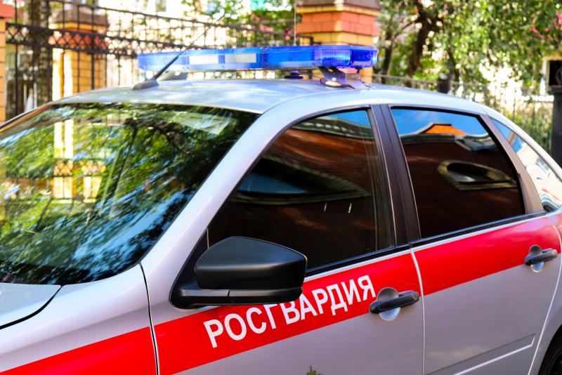 Патруль Росгвардии задержал нетрезвого водителя, ранее лишенного права управления транспортным средством в Марий Эл