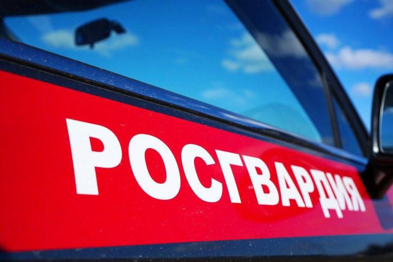В Подмосковье росгвардейцы задержали подозреваемого в краже более 100 плиток шоколада
