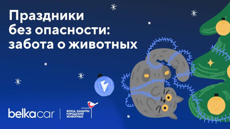 Каршеринг BelkaCar присоединился к кампании Фонда защиты городских животных