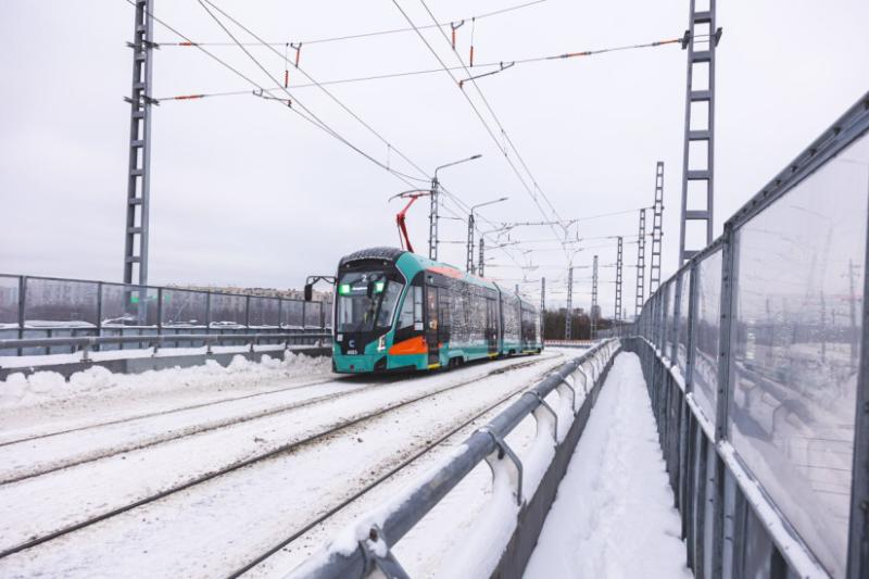 Скоростной трамвай «Славянка» планируют протянуть до кампуса СПбГУ: проект планировки территории заявлен в разработку