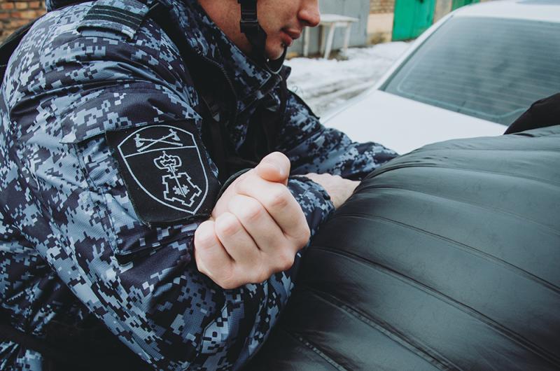 В Мордовии при участии сотрудников Росгвардии задержан пьяный водитель